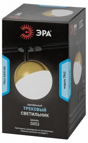 Светильник на штанге Эра  TR42-GX53 BS в Игриме - igrim.ok-mebel.com | фото 6