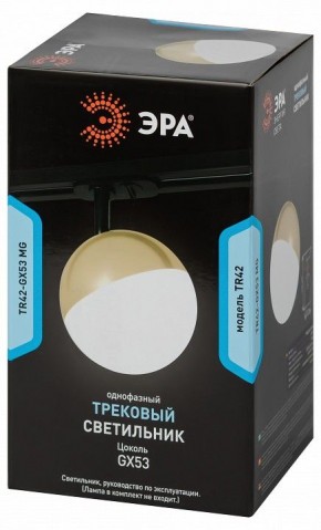 Светильник на штанге Эра  TR42-GX53 MG в Игриме - igrim.ok-mebel.com | фото 6