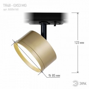 Светильник на штанге Эра  TR48 - GX53 MG в Игриме - igrim.ok-mebel.com | фото 4