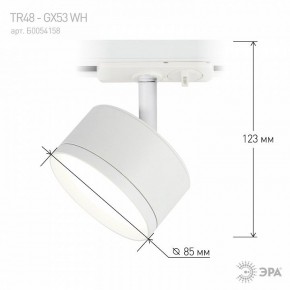 Светильник на штанге Эра  TR48 - GX53 WH в Игриме - igrim.ok-mebel.com | фото 4