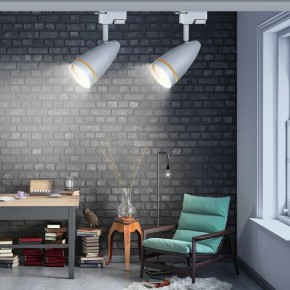 Светильник на штанге Эра  TR49 - GU10 WH в Игриме - igrim.ok-mebel.com | фото 2