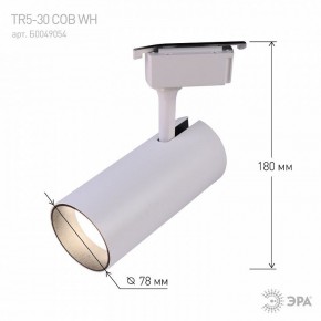 Светильник на штанге Эра  TR5-30 COB WH в Игриме - igrim.ok-mebel.com | фото 6