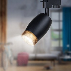 Светильник на штанге Эра  TR51 - GU10 BK в Игриме - igrim.ok-mebel.com | фото 2