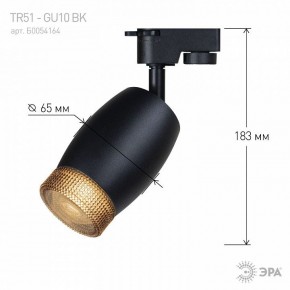 Светильник на штанге Эра  TR51 - GU10 BK в Игриме - igrim.ok-mebel.com | фото 4