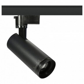 Светильник на штанге Эра  TR59 - 2030 BK в Игриме - igrim.ok-mebel.com | фото
