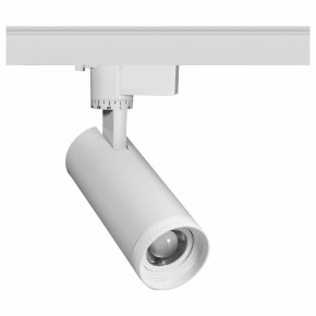 Светильник на штанге Эра  TR59 - 2030 WH в Игриме - igrim.ok-mebel.com | фото