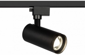Светильник на штанге Эра  TR59 - 2040 BK в Игриме - igrim.ok-mebel.com | фото