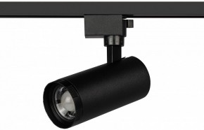Светильник на штанге Эра  TR59 - 2040 BK в Игриме - igrim.ok-mebel.com | фото 2