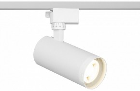 Светильник на штанге Эра  TR59 - 2040 WH в Игриме - igrim.ok-mebel.com | фото
