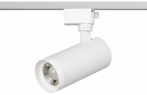 Светильник на штанге Эра  TR59 - 2040 WH в Игриме - igrim.ok-mebel.com | фото 2