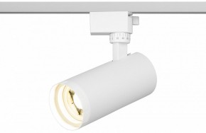 Светильник на штанге Эра  TR59 - 2040 WH в Игриме - igrim.ok-mebel.com | фото 5