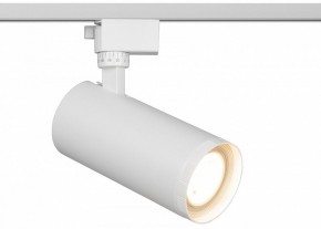 Светильник на штанге Эра  TR59 - 3030 WH в Игриме - igrim.ok-mebel.com | фото