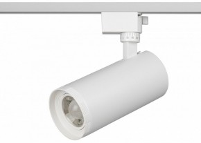 Светильник на штанге Эра  TR59 - 3030 WH в Игриме - igrim.ok-mebel.com | фото 2