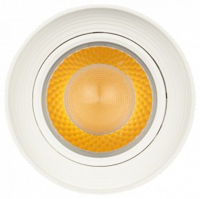 Светильник на штанге Эра  TR59 - 3030 WH в Игриме - igrim.ok-mebel.com | фото 3
