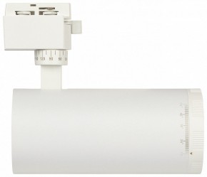 Светильник на штанге Эра  TR59 - 3030 WH в Игриме - igrim.ok-mebel.com | фото 4