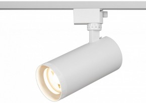 Светильник на штанге Эра  TR59 - 3030 WH в Игриме - igrim.ok-mebel.com | фото 5