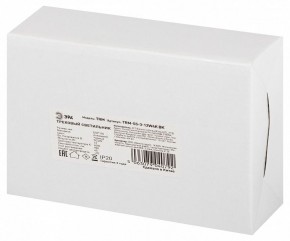 Светильник на штанге Эра  TRM-S5-3-12W4K-BK в Игриме - igrim.ok-mebel.com | фото 8