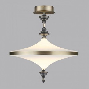 Светильник на штанге Odeon Light Ula 5404/43CL в Игриме - igrim.ok-mebel.com | фото 3