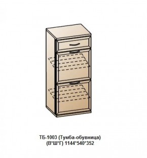 ТБ-1003 (Тумба-обувница) в Игриме - igrim.ok-mebel.com | фото