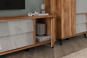 Тумба под ТВ Онтарио 474.03 в Игриме - igrim.ok-mebel.com | фото 4