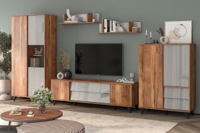 Тумба под ТВ Онтарио 474.03 в Игриме - igrim.ok-mebel.com | фото 6