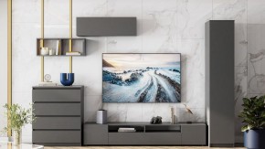 Тумба под ТВ Сибити в Игриме - igrim.ok-mebel.com | фото 3