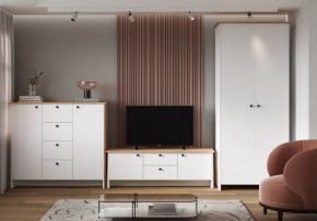 Тумба под ТВ Теодора в Игриме - igrim.ok-mebel.com | фото 4