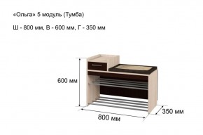 ОЛЬГА 5 Тумба в Игриме - igrim.ok-mebel.com | фото 3