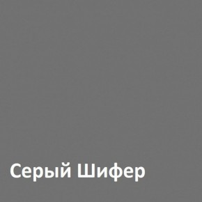 Юнона Шкаф торцевой 13.221 в Игриме - igrim.ok-mebel.com | фото 2